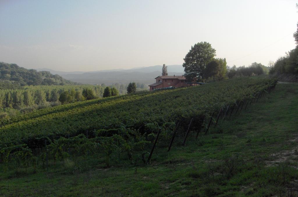 Podere Chiaromonte Palaia Dış mekan fotoğraf
