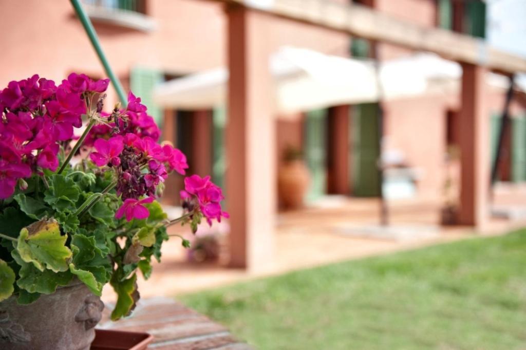 Podere Chiaromonte Palaia Dış mekan fotoğraf