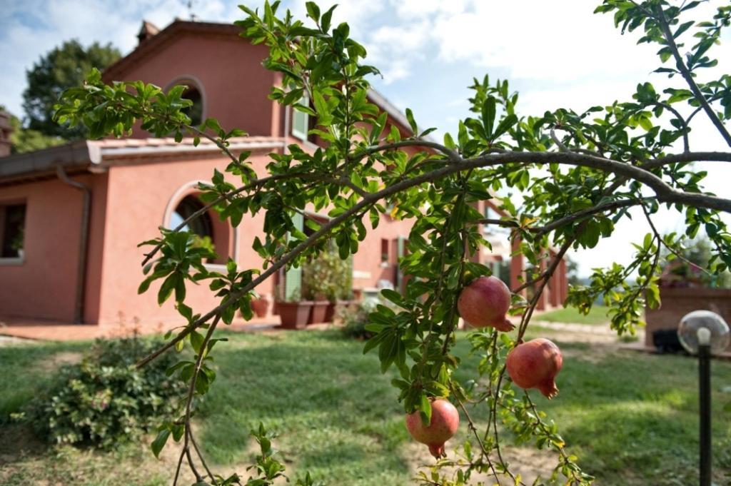 Podere Chiaromonte Palaia Dış mekan fotoğraf